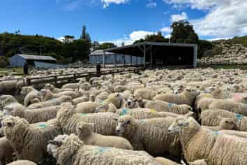 21 Lillburn Valley Road, Clifden