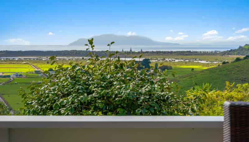 317 Takatu Road, Matakana