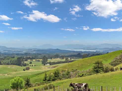 862 Pungaere Road, Waipapa