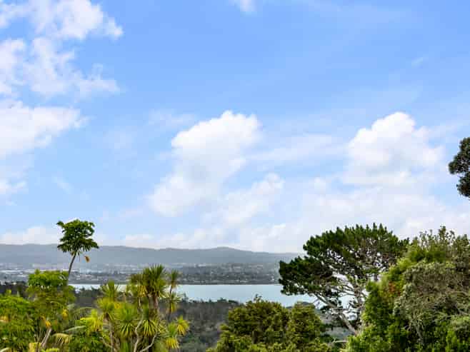 6 Waipa Street, Birkenhead