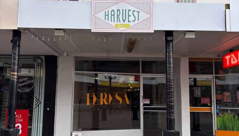 122 Emerson Street, Napier South