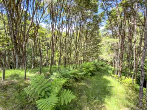 551 Kaiaua Road, Kaiaua