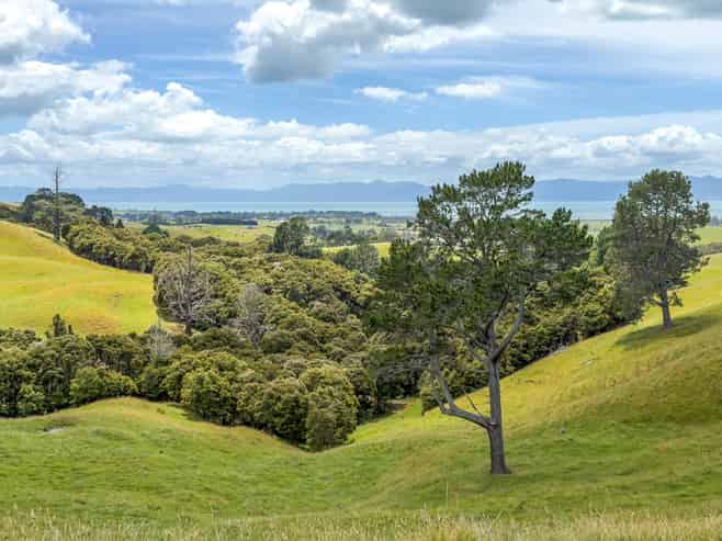 551 Kaiaua Road, Kaiaua