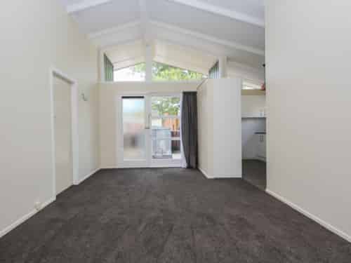 103A Clyde Street , Hamilton East