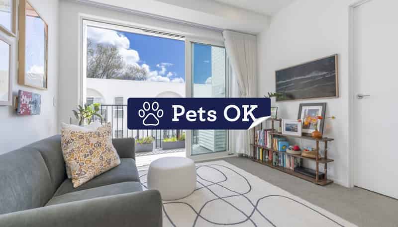 307/1817A Great North Road, Avondale