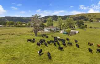 1313 Whangaripo Valley Road, Whangaripo