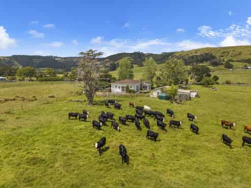 1313 Whangaripo Valley Road, Whangaripo