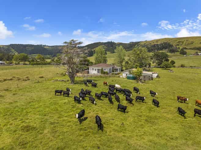 1313 Whangaripo Valley Road, Whangaripo