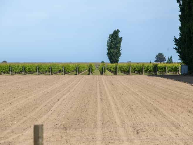 Lot 1 Dunstan Road, Matawhero