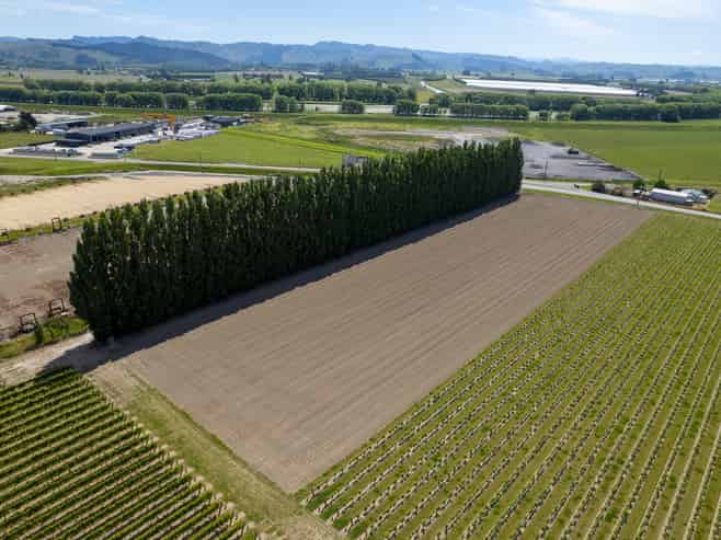 Lot 1 Dunstan Road, Matawhero