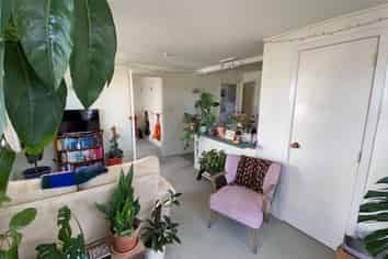 37a Colombo Street, Newtown