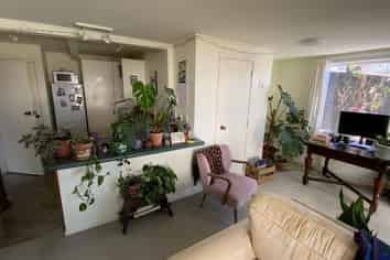 37a Colombo Street, Newtown