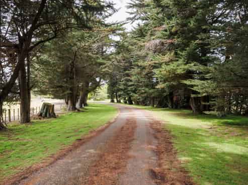 852 Penny Road, Awahuri