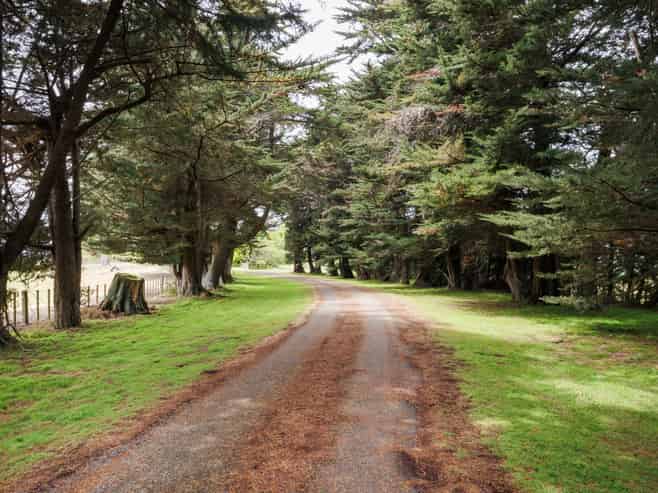 852 Penny Road, Awahuri