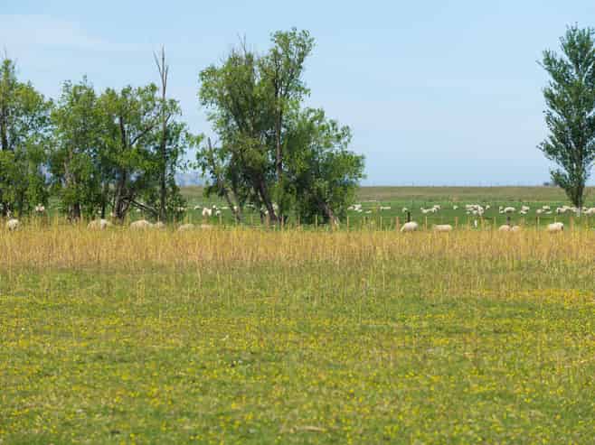 Lot 1 & 4 Dunstan Road, Matawhero