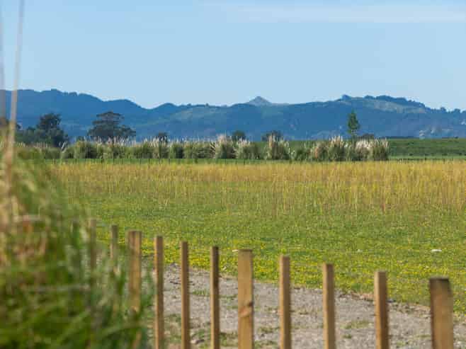 Lot 1 & 4 Dunstan Road, Matawhero