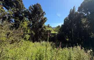  Harrington Mill Road, Tahakopa