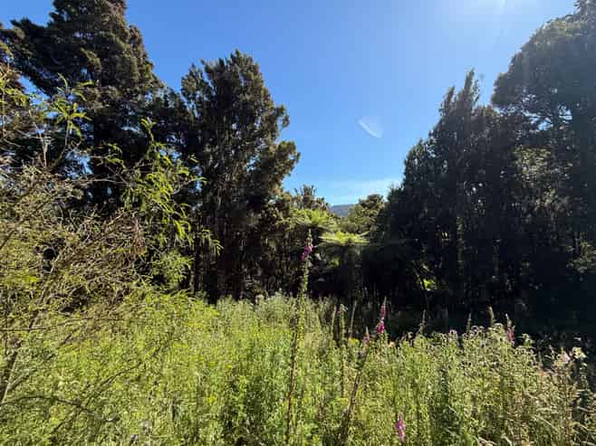  Harrington Mill Road, Tahakopa