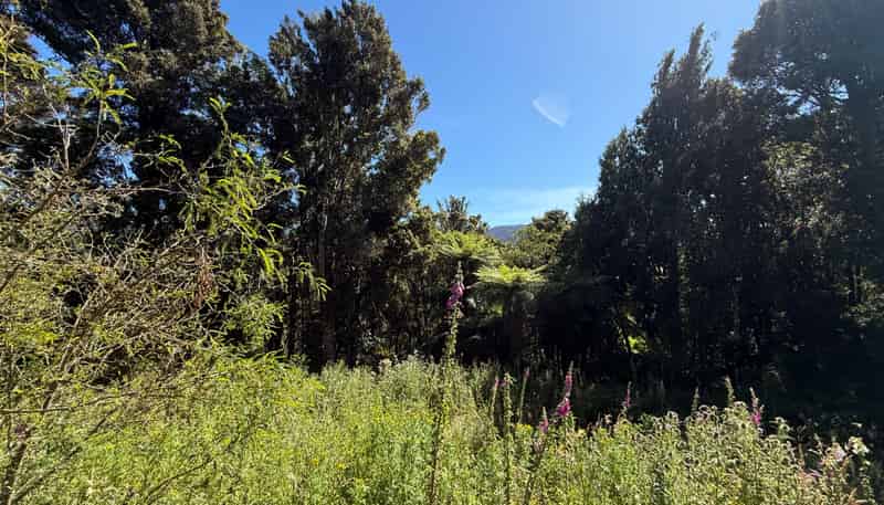  Harrington Mill Road, Tahakopa