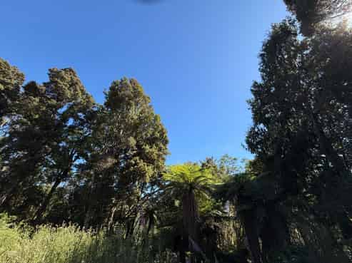  Harrington Mill Road, Tahakopa