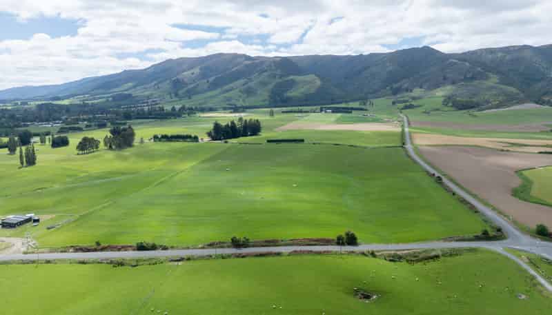 2, 3 & 4 Dalvey Road, Tapanui