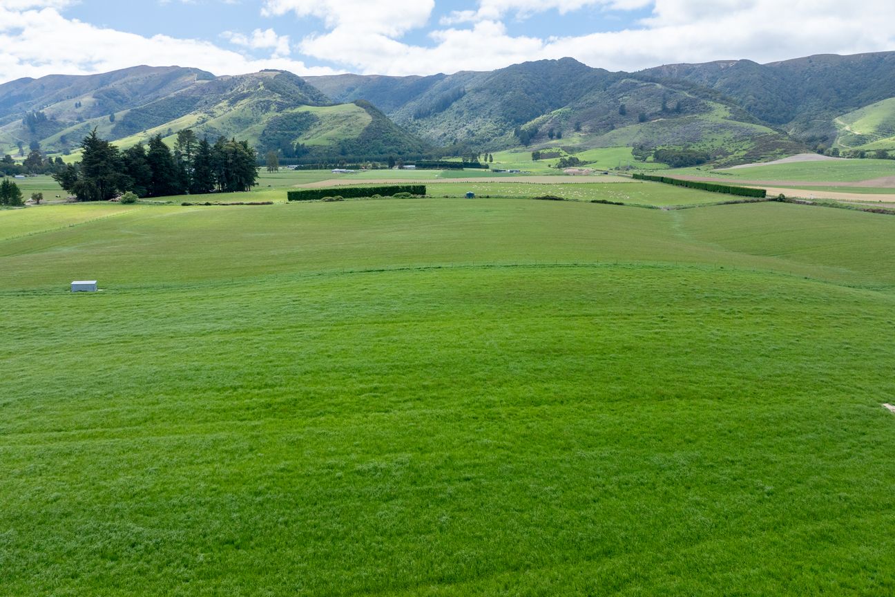 Prime Lifestyle Opportunity - Widok 3