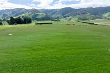 2, 3 & 4 Dalvey Road, Tapanui