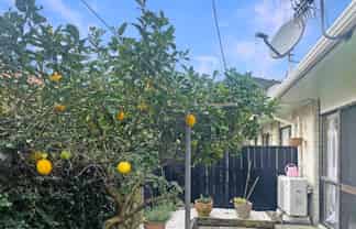 2/96 Hatea Drive, Regent