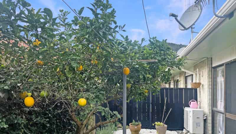 2/96 Hatea Drive, Regent