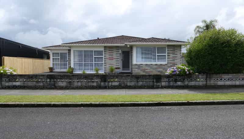 1 Hadfield St, Levin