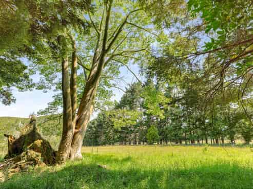 Lots 2&3/586 Tara Road, Mangawhai