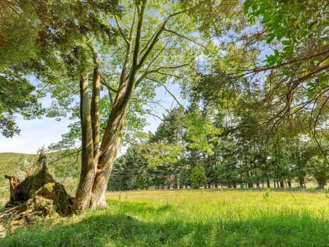 Lots 2&3/586 Tara Road, Mangawhai