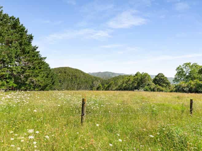 Lots 2&3/586 Tara Road, Mangawhai