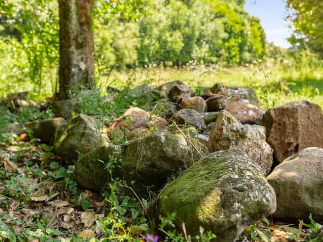 Lots 2&3/586 Tara Road, Mangawhai