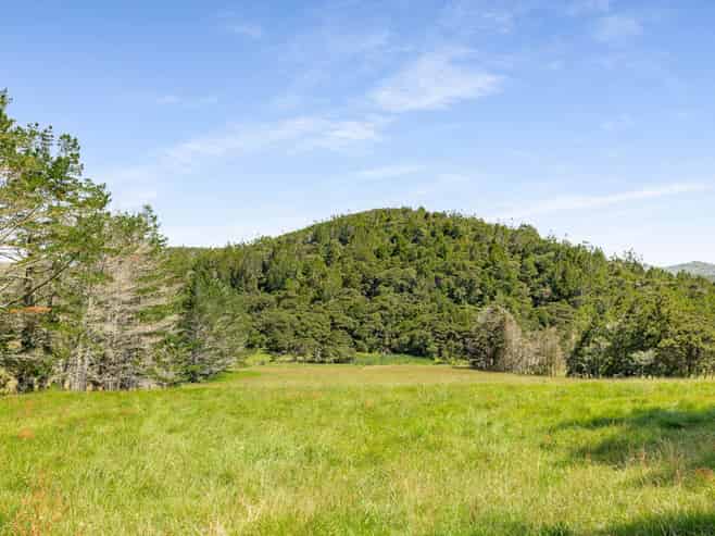 Lots 2&3/586 Tara Road, Mangawhai