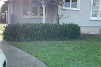 7 Nelson Crescent, Napier South