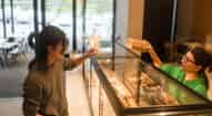 Open gallery