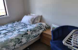 4 (Room B/85 Cameron Road, Hamilton East