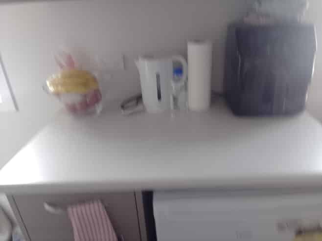 5 Room B/85 Cameron Road, Hamilton East