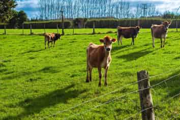 348 Tauraroa Road, Maungakaramea