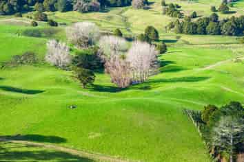  Lots 2 and 5 Leslie Road, Maungakaramea
