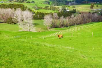  Lots 2 and 5 Leslie Road, Maungakaramea