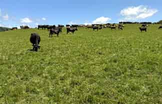 219 Waitomo Valley Road, Otorohanga