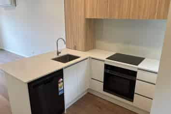 49 Selo Street, Glen Eden