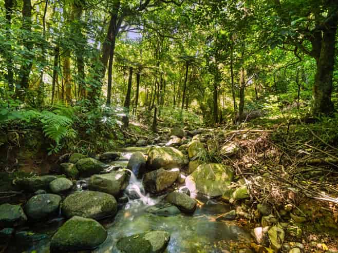 348D Rea Road, RD2, Katikati