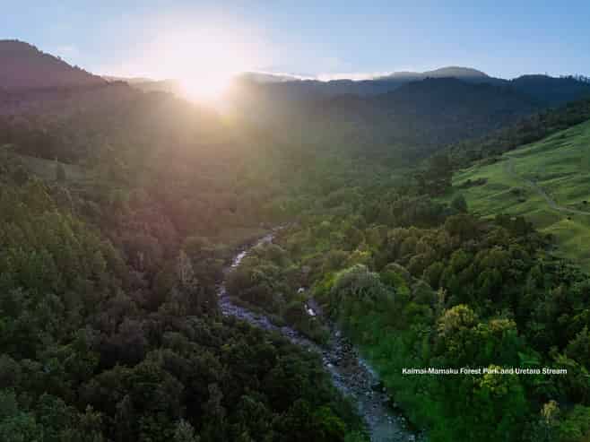 348D Rea Road, RD2, Katikati