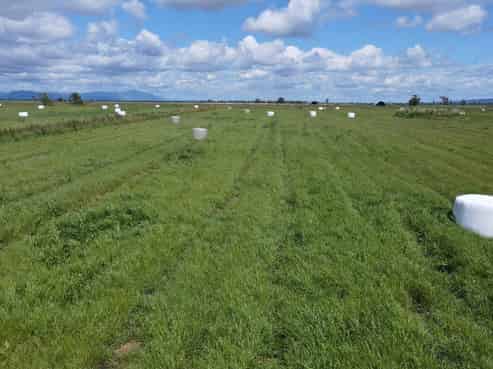  Pouarua Road, Ngatea