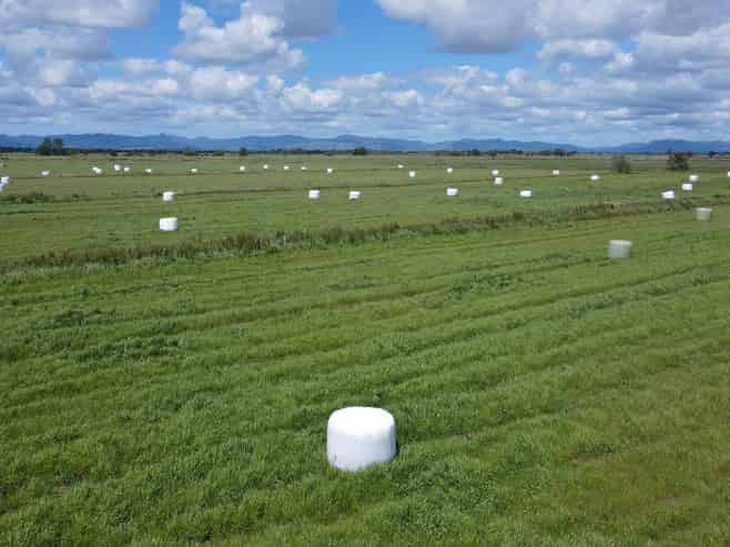  Pouarua Road, Ngatea