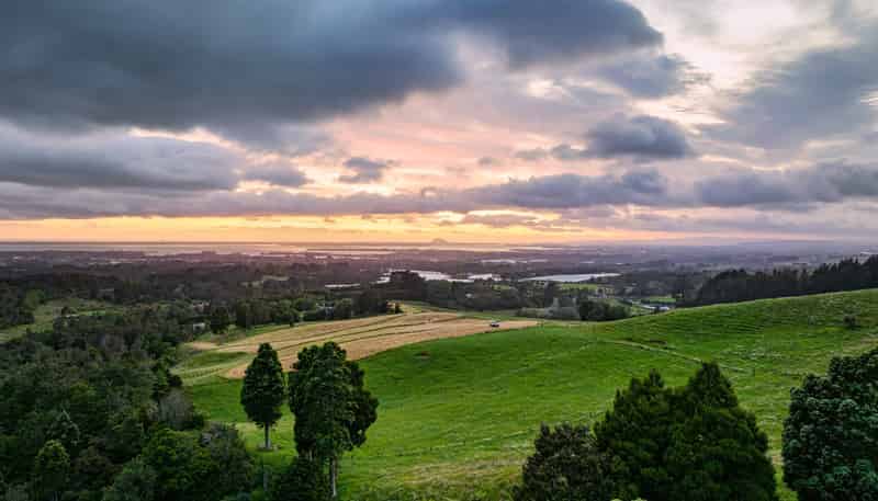 348D Rea Road, Katikati