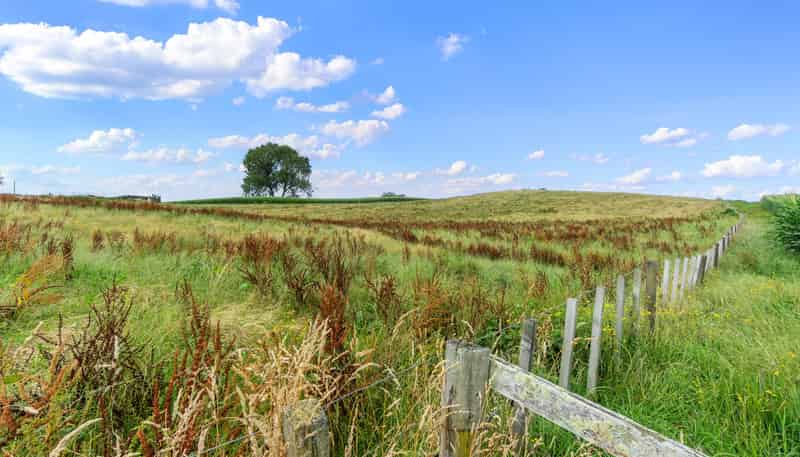 Lot 4, Tapapa Road West, Tirau